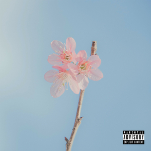 CAN WE TALK? (unplugged)