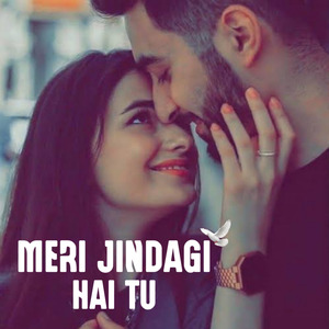 Meri Jindagi Hai Tu
