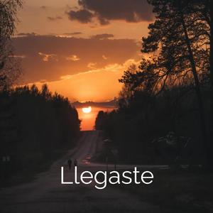 Llegaste