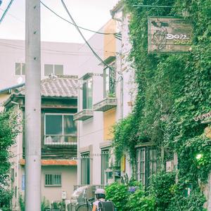 风居住的街道(钢琴版)