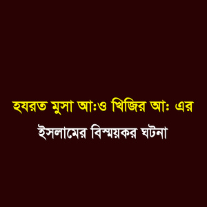 হযরত মুসা (আ.) ও খিজির (আ.) এর ইসলামের বিস্ময়কর ঘটনা