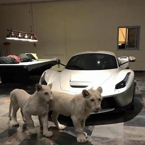 Apple Juice (feat. D1ego)