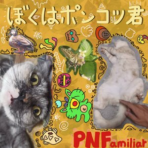 おばあちゃん家の匂い