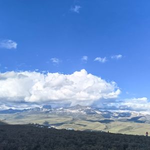 助眠—轻音乐—纯音乐 (16)