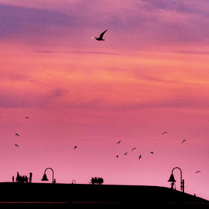 和宇宙的温柔关联