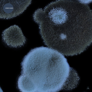 Counting (Extended Mix)