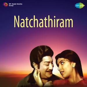 Vaanam Ingey