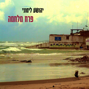פרח מלחמה