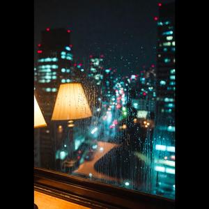Tokyo in Rain