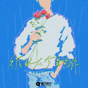 循环在梦里的你