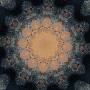 An elegant and daring Evolution towards sanity and high time