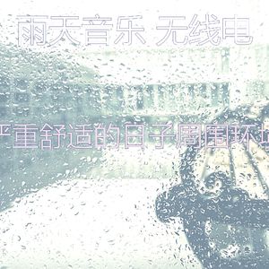 抚慰的雨回忆