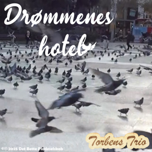 Drømmenes hotel
