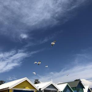 for u. (prod. by 房间里的大象）