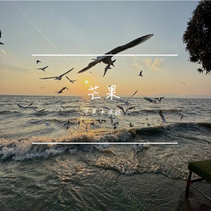 世界兵荒马乱，而你是我的浪漫