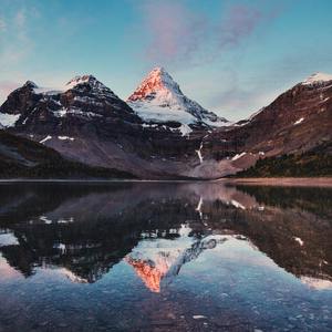 大眠（原唱：王心凌）（翻自 王心凌）