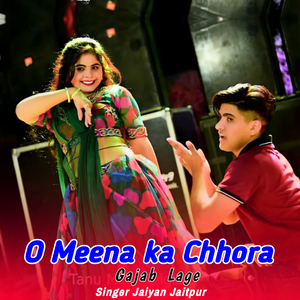 O Meena ka Chhora Gajab Lage