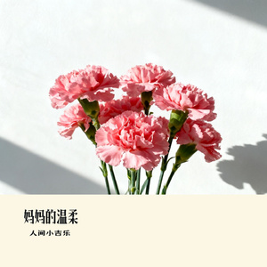 妈妈的温柔