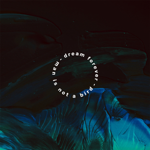 Haze (Honey Guide Remix)