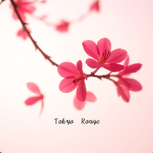 Under the Sonezaki Moon