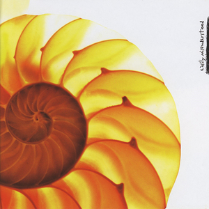 Michael Collins Autograph