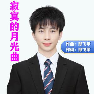 寂寞的月光曲