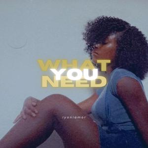 What You Need