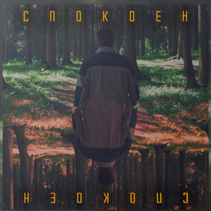 Спокоен