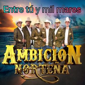 Por que te conoci