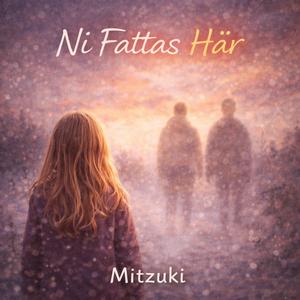 Ni Fattas Här