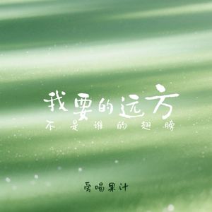 我要的远方(不是谁的翅膀)