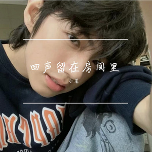 回声留在房间里