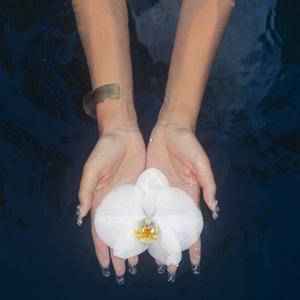 like an orchid / kembali (Baila's Lullaby)