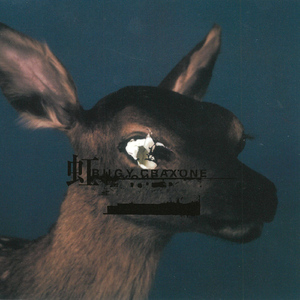 てんとうむし。(reincarnated)