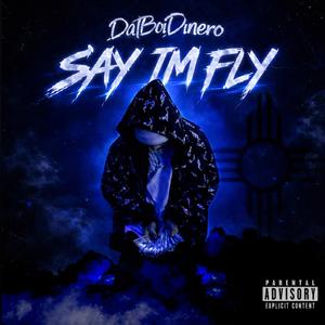 Say Im Fly