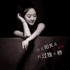 你走阳关道我过独木桥 (Dj老鹏)