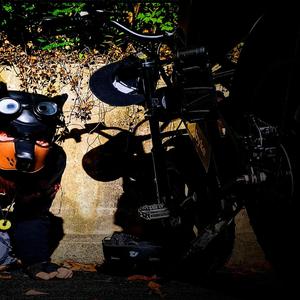 What the Hell is Even That