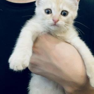 我期待的不是雪 (而是有你的冬天)