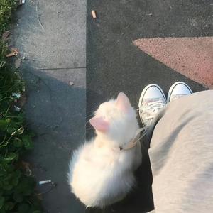 坏女孩（女生完整版）