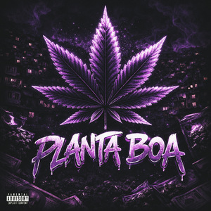 Planta Boa