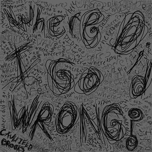 Where Did I Go Wrong?