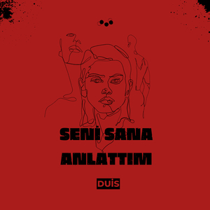 Seni Sana Anlattım