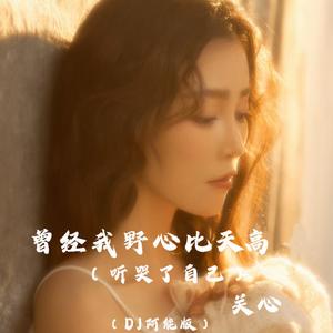 曾经我野心比天高 (听哭了自己) (DJ阿能版)