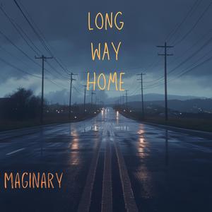 Long Way Home