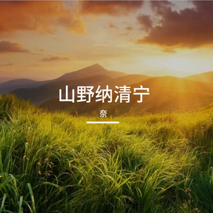 山野纳清宁