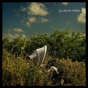 Os Autos do Inventário de Susan S.