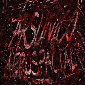 Arsunico Aerospacial