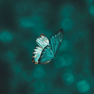 [FREE]"ButterFly" - Melody Guitar Type Beat