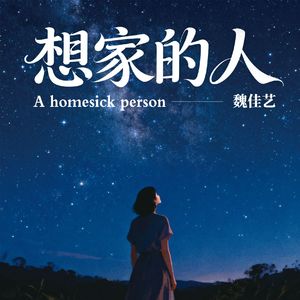 想家的人