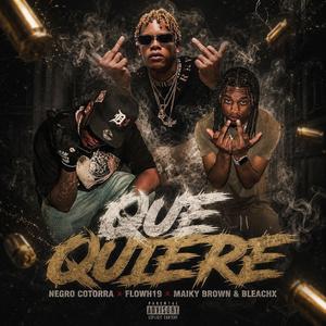 QUE QUIERE (feat. FLOWH19 & MAIKY BROWN & BLEACHX)